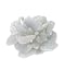 Design 6Stone Ring White