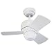  : Monte Carlo 3TF24BS Micro 24 Fan - Brushed Steel Contemporary Small Room Ceiling Fan 24