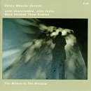 The Widow in the Window