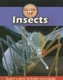 Insects (Close-Up)