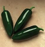 Pepper Jalepeno Jalafuego F1 30 Seeds per Packet