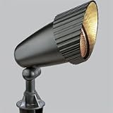 12v Composite Accent Light - Black