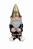 Purdue University Lucky Sports Gnome