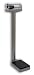 Detecto 337S Stainless Steel Doctor/Physician Beam Scale, 400 lbs / 180 kgs, Made in the USA
