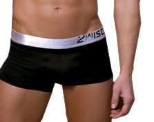 2(x)ist Men's Carbon Trunk