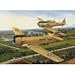 Cobble Hill Harvards Up Early Jigsaw Puzzle, 1000-Piece