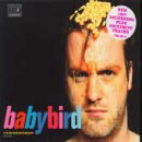Babybird Picture 5