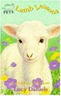 Lamb Lessons (Animal Ark Pets)