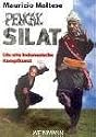 Pencak Silat.