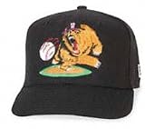 Fresno Grizzlies Road Cap by New Era