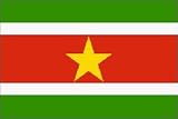 Suriname Flag Polyester 3 ft. x 5 ft.
