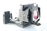 BenQ PB6240 replacement projector lamp bulb with housing - High quality replacement Lamp