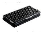 Miele SFAAC50 Active Air Clean Filter