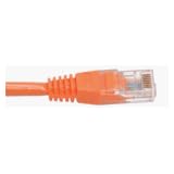 CAB-5E-UTP-ORANGE-2M - Prolabs patch cable - 2 m