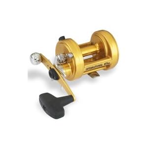Penn Gold Label 900 Series Baitcast Reel (340-Yard 15-Pound)