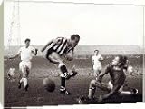 Box Canvas Print of Action Images - 3.jpg from Mirror Photos