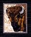 Tatanka Buffalo Fusible Applique Quilt Pattern Toni Whitney
