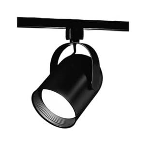 Hubbell Lighting AKTRCP30 BL Par R Br30 Round Black Track Fixtures