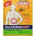 Salonpas Capsicum Patch Hot (1 Patch)
