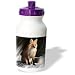 Dinzas Art Animals - Fox - Water Bottles