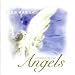 NewWorldMusic�ʥ˥塼���ɥߥ塼���å���Journey to the Angels�ʥ��㡼�ˡ����ȥ����������󥸥��륹��