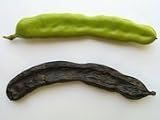 Carob Herbal Capsules