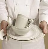 Emeril from Wedgwood 5820210060 Emeril's Professional Series Adobe Clay Dinner Plate 12-in.