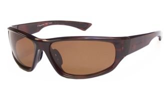 Click here to buy Coyote Sunglasses - Baja Frame: Tortoise Lens: Brown by Coyote.