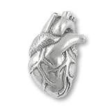 Human Heart Lapel Pin
