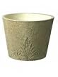 13" Fossil Leaf Spanish Moss