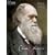 Darwin Diary 2009