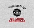 Property Of MLB Blanket/Throw St. Louis Cardinals - Team Sports Fan Shop Merchandise