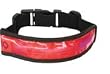 FuelBelt Glow Armband (Red)