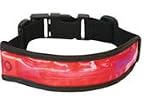 FuelBelt Glow Armband (Red)