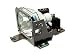 �Z�C�R�[�G�v�\�� �v���W�F�N�^�[�����p�����v(7500/5500�p) ELPLP06