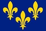 Eigenschaften Everflag  / Flagge 90 x 150 : Fleur de Lis - Frankreich Lilien