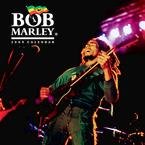 Bob Marley 2009 Mini Wall Calendar
