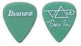 IBANEZ 1000SV-GR XeB[u@CsbN