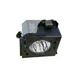Sharp Electronics AN-B10LP Projector Lamp for PGB10S