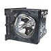 Panasonic TY LA1500 - Projection TV replacement lamp