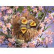 Folkmanis Puppet Baby Birds in Nest