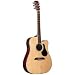 AD60SC Acoustic Electric Guitar Natural Natural