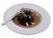 Nordic Ware Platinum Series Nonstick Mini Bundt Pan 12-c.