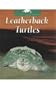 Leatherback Turtles (Untamed World)