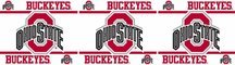 Ohio State Buckeyes 5