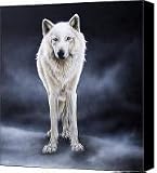 'Between the White and the Black' Canvas Print / Canvas Art - Artist Sandi Baker