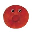 GIANT Microbes - Red Blood Cell (Erythrocyte) - Plush Toy