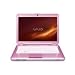 PC Hardware : Sony VAIO VGN-CS110E/P 14.1-Inch Laptop (2.0 GHz Intel Core 2 Duo T5800 Processor, 3 GB RAM, 250 GB Hard Drive, Vista Premium) Pink