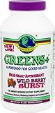 Greens+ Powder Wild Berry Burst 9.4 oz Powder - 9.4 oz - Powder