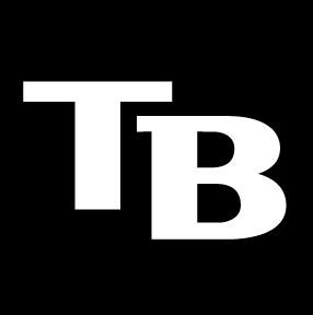 Tampa Bay Devil Rays Auto Car Wall Decal Sticker
